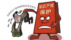 知識產(chǎn)權(quán)保護對于一個國家的意義到底在哪里？